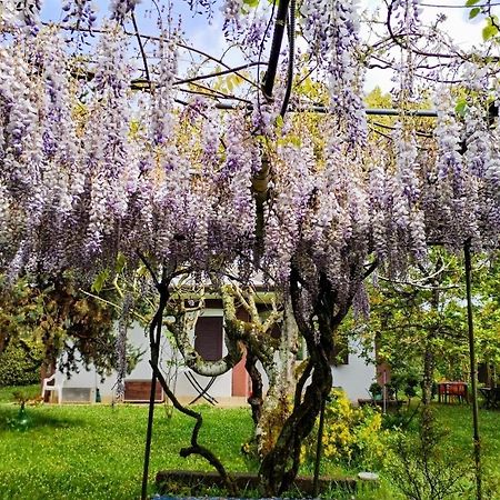 Casetta In Collina Sezze Εξωτερικό φωτογραφία