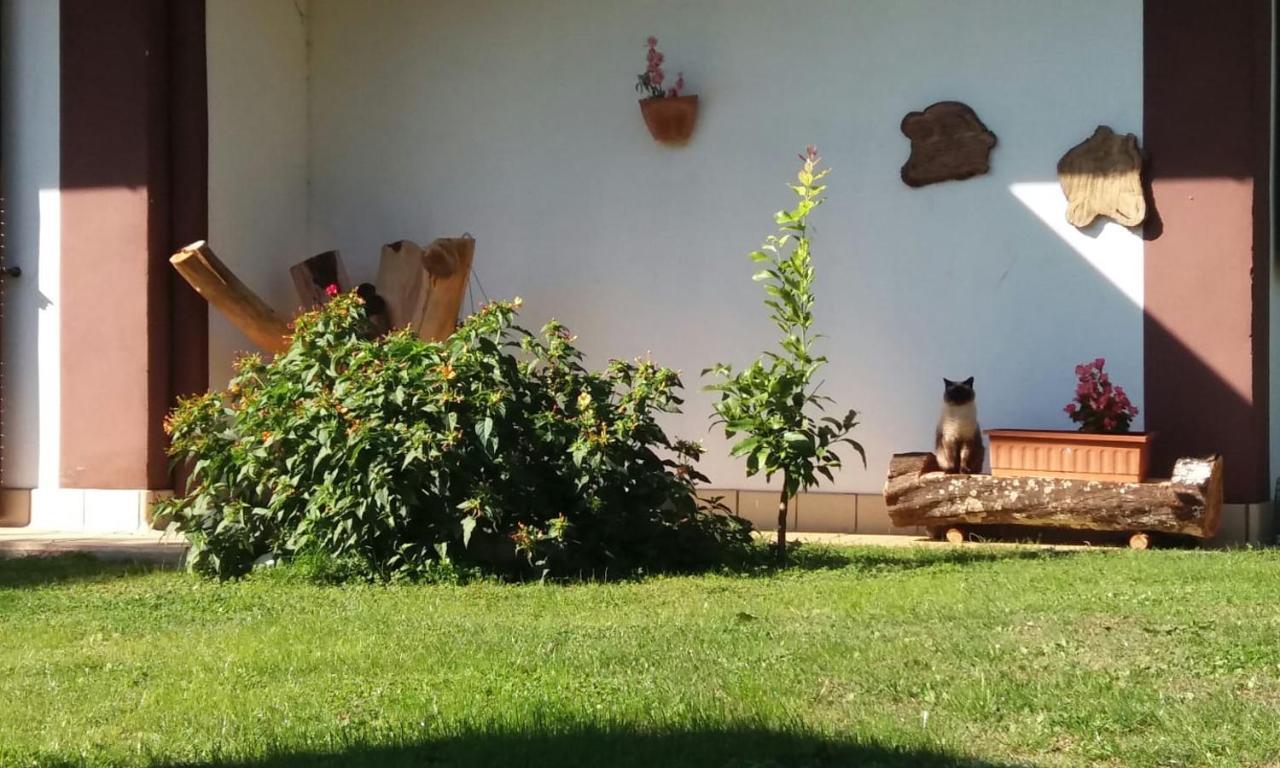 Casetta In Collina Sezze Εξωτερικό φωτογραφία