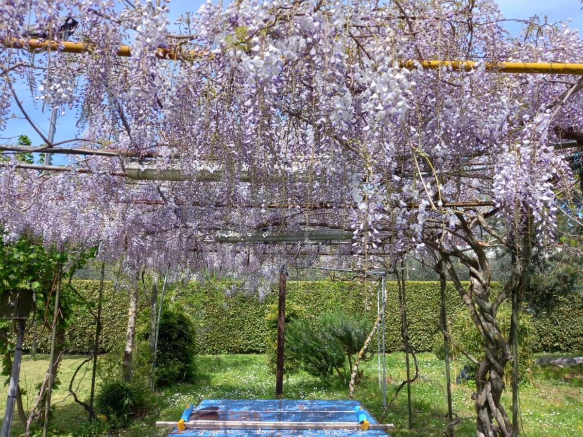Casetta In Collina Sezze Εξωτερικό φωτογραφία